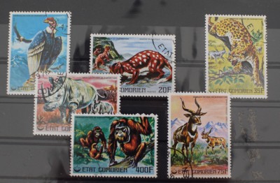 TS23/11 Timbre Serie Etat Comorien - animale foto
