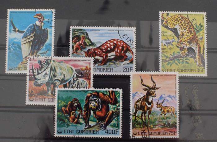 TS23/11 Timbre Serie Etat Comorien - animale
