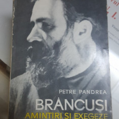 Petre Pandrea, Brâncuși, Amintiri și exegeze, București 1967 029