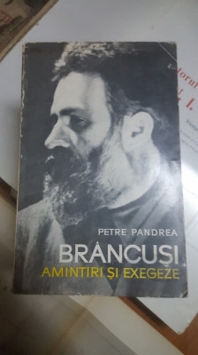 Petre Pandrea, Br&amp;acirc;ncuși, Amintiri și exegeze, București 1967 029 foto