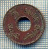 12185 MONEDA -PALESTINA - 5 MILS -ANUL 1942 -STAREA CARE SE VEDE, America Centrala si de Sud