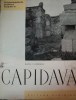 Capidava / Radu Florescu, 2014