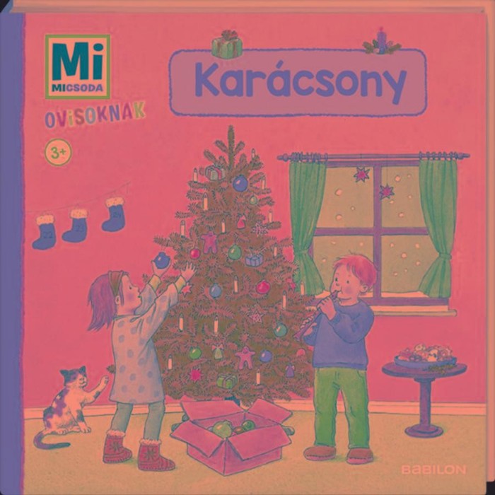Kar&aacute;csony - Mi Micsoda Ovisoknak - Andrea Weller-Essers
