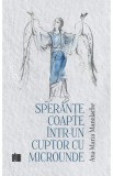 Sperante coapte intr-un cuptor cu microunde - Ana-Maria Manolache