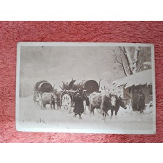 Carte postala, reproducere dupa tabloul Car cu boi in zapada/Th. Aman