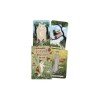 Enchanted Forest Felines Tarot