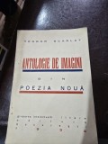 Antologie de imagini din poezia noua - Teodor Scarlat