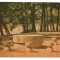 carte postala-CONSTANTIN BRANCUSI-Targu Jiu-Masa tacerii