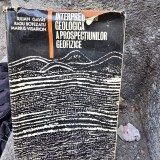 Interpretarea geologica a prospectiunilor geofizice - Iulian Gavat