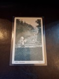 Carte postala , Baile Herculane , Parcul ,alb negru - (necirculata)