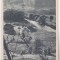 bnk cp Peisaj maramuresan - Vedere - uzata 1953