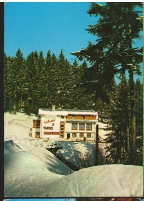 CPI B13961 CARTE POSTALA - TIMISUL DE SUS. CABANA &amp;quot;TIMIS&amp;quot; foto