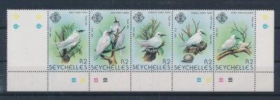 SEYSCHELLES 1981-FAUNAA-PASARI-Streif de 5 timbre foto