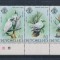 SEYSCHELLES 1981-FAUNAA-PASARI-Streif de 5 timbre