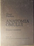 Anatomia Omului Vol. 1: Aparatul Locomotor - Victor Papilian, Editura Didactica, 1982, Hardcover