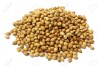 Coriandru boabe (100g)