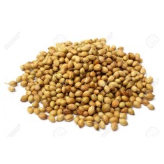 Coriandru boabe (100g)