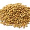 Coriandru boabe (100g)