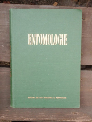 Entomologie,M. Ionescu foto