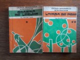 Calauza gradinarului, Gradina de legume + Livada de pomi / R2P1F, Alta editura