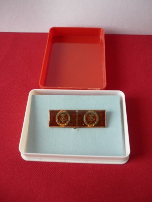 INSIGNA MASONICA foto