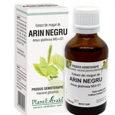 Extract din muguri de arin negru 50ml