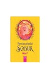 Povestea Printului Sobur Basme Bengaleze Carmen Musat-Coman Cununi de Stele Carti Fictiune Paperback India
