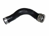 NRF 166033 Furtun ear supraalimentare