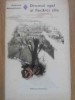 Drumul egal al fiecarei zile - Gabriela Adamesteanu - Roman de Dragoste, Editura Eminescu, 1978, 284 pagini