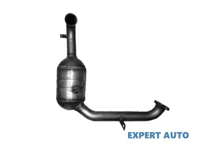 Catalizator Ford Focus C-Max (2003-2007)[DM2] foto