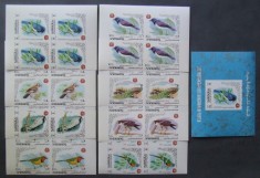 YEMEN K. -PASARI-4 X serie complecta 8 V.+ 1 Colita-Nedantelate-MNH**.- YK 008