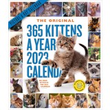 365 Kittens-A-Year Picture-A-Day Wall Calendar 2023
