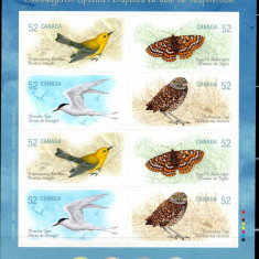 CANADA 2008, Fauna, Pasari, Fluturi, serie neuzata, MNH