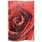 Paravan de camera pliabil, 120 x 170 cm, trandafir rosu