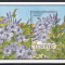 Lesotho 1992 - Flori, Colita, MNH