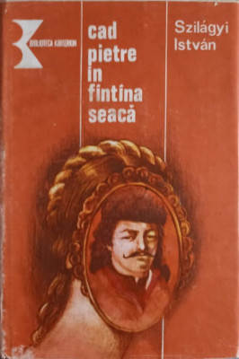 CAD PIETRE IN FANTANA SEACA-SZILAGYI ISTVAN-245655 foto