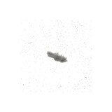 Ansamblu Racord Rezervor De'Longhi AT2106023800 Original pentru Fier de Calcat
