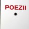 POEZII-MIHAI URSACHI-263921