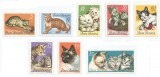 Romania, LP 602/1965, Pisici, MNH