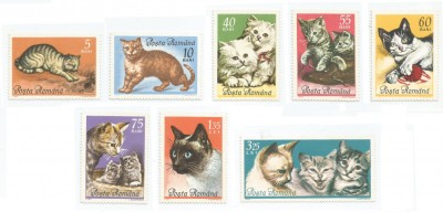 Romania, LP 602/1965, Pisici, MNH foto