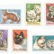 Romania, LP 602/1965, Pisici, MNH
