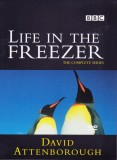 DVD Serial: David Attenborough - Life in the Freezer ( vezi descriere )