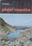 Plaiuri carpatice - Ion Conea