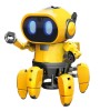 Robot Tibo, Buki France