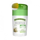 DEOSTICK SALVIE DYNAMIQUE 50GR, MANICOS