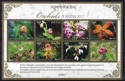 BHUTAN 2017 FLORI ORHIDEE foto