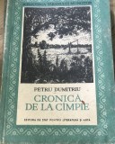 LITR6 Literatura, Cronica de la Campie - Petru Dumitriu