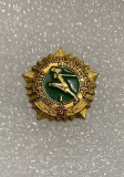 Insigna rusia