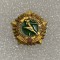 Insigna rusia