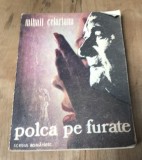 LITR23 Mihail Celarianu - Polca pe furate